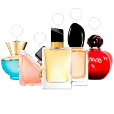 Combination of 5 women's - VP